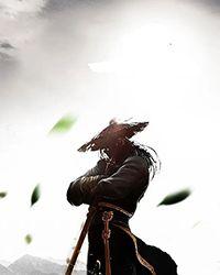 生死圣皇人物介绍