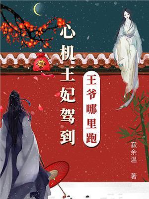 我居然穿越成了一把剑txt